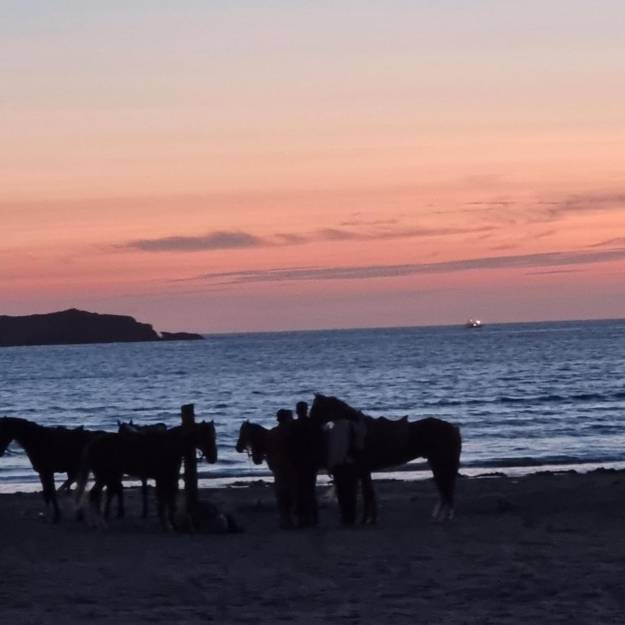 Appartement De Luxe Bord De Mer Essaouira A 2 Pas De La Plage Εξωτερικό φωτογραφία
